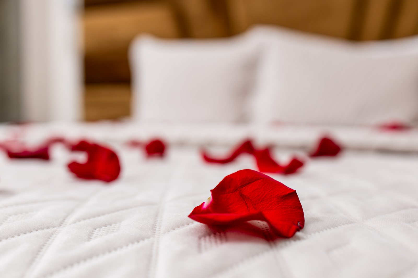 Pétalos de rosa sobre la cama del Hotel Danubio